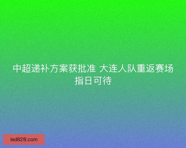 中超递补方案获批准 大连人队重返赛场指日可待